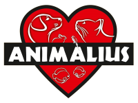 default-logo