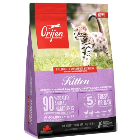Orijen Kitten