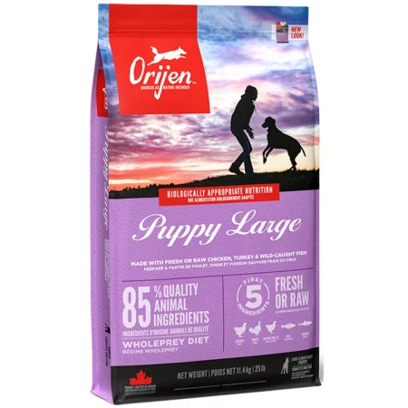 Orijen Large Breed Puppy