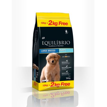 Equilibrio Puppy Large