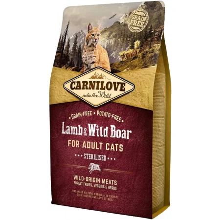 Cat Lamb and Wild Boar