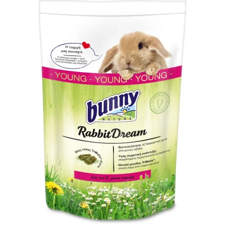 Bunny Nature Rabbit Dream Young