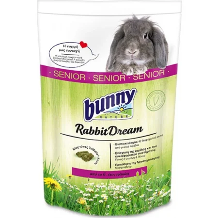 Bunny Nature Rabbit Dream Senior