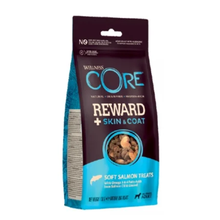 Wellness Core Grain Free Skin and Coat με Σολομό 170gr