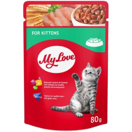 My Love Cat Kitten