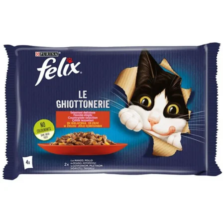 Felix AGAIL