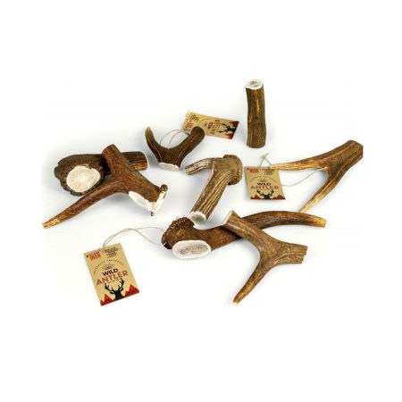 Celebrate Freshness Red Deer Antler