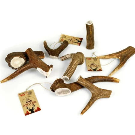 Celebrate Freshness Red Deer Antler Giant