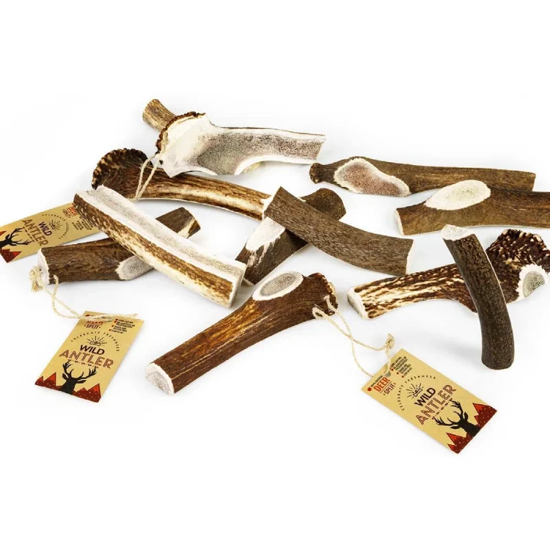 Celebrate Freshness Red Deer Split Antler