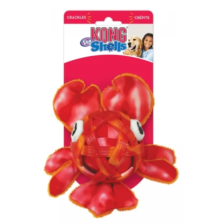 Kong Sea Shells Lobster