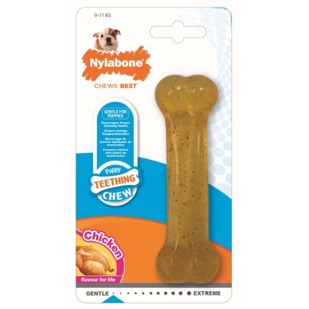 Nylabone Puppy Bone
