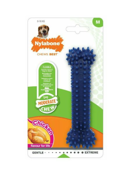 Nylabone Dental