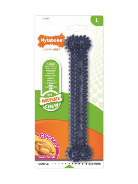 Nylabone Moderate Dental