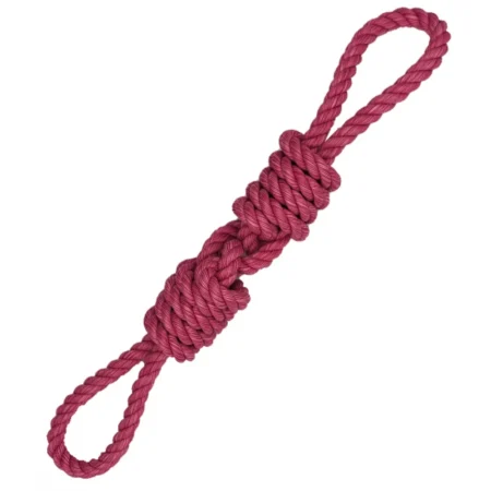 Pet Interest Rope Toy Bacon