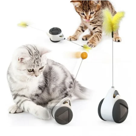 Pet Interest Balance Toy